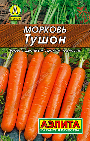 Морковь Тушон - фото Морковь Тушон - фото