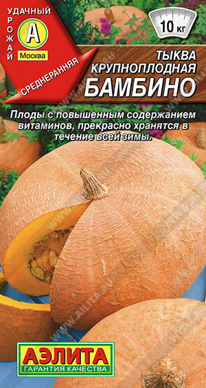 Тыква крупноплодная Бамбино - фото Тыква крупноплодная Бамбино - фото