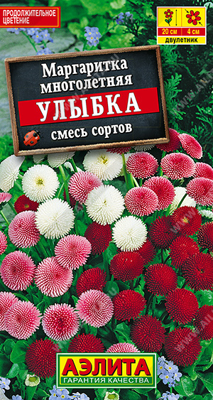 Маргаритка Улыбка махровая помпонная, смесь сортов - фото Маргаритка Улыбка махровая помпонная, смесь сортов - фото