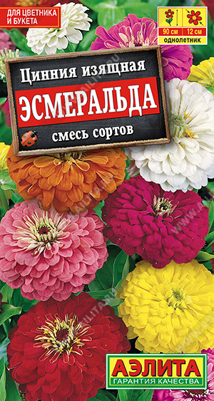Цинния Эсмеральда, смесь сортов - фото Цинния Эсмеральда, смесь сортов - фото