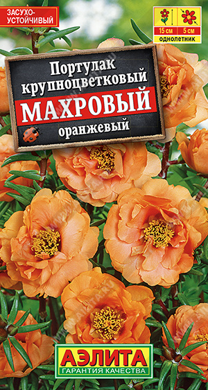 Портулак махровый оранжевый - фото Портулак махровый оранжевый - фото