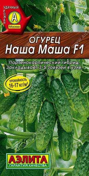 Огурец Наша Маша F1 - фото Огурец Наша Маша F1 - фото