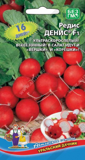 Редис Денис F1 - фото Редис Денис F1 - фото