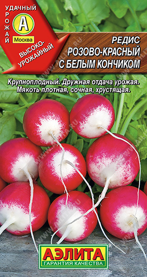 Редис Розово-красный с б/к - фото Редис Розово-красный с б/к - фото