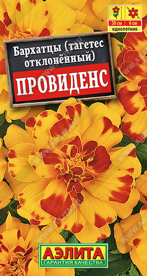 Бархатцы Провиденс отклоненные - фото Бархатцы Провиденс отклоненные - фото
