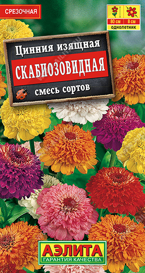 Цинния Скабиозовидная, смесь сортов - фото Цинния Скабиозовидная, смесь сортов - фото