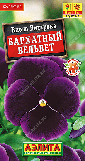 Виола Бархатный вельвет - фото Виола Бархатный вельвет - фото