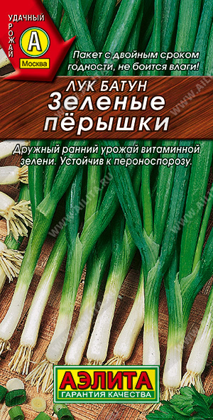 Лук батун Зеленые перышки - фото Лук батун Зеленые перышки - фото