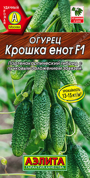 Огурец Крошка енот F1 - фото Огурец Крошка енот F1 - фото