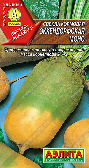 Свекла кормовая Эккендорфская моно - фото Свекла кормовая Эккендорфская моно - фото