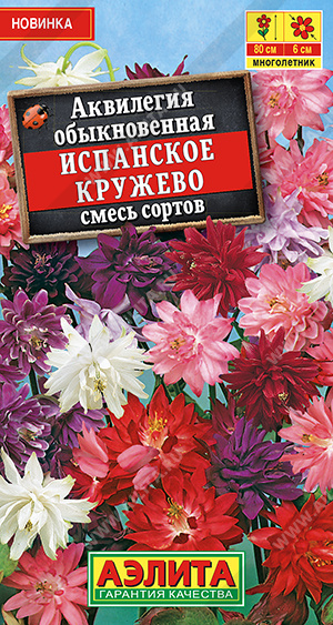 Аквилегия Испанское кружево, смесь сортов - фото Аквилегия Испанское кружево, смесь сортов - фото