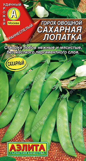 Горох овощной Сахарная лопатка - фото Горох овощной Сахарная лопатка - фото
