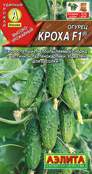 Огурец Кроха F1 ® - фото Огурец Кроха F1 ® - фото