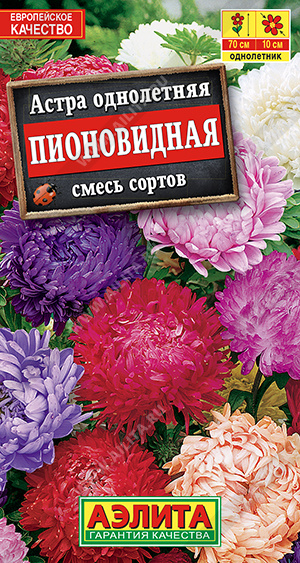 Астра Пионовидная, смесь сортов - фото Астра Пионовидная, смесь сортов - фото