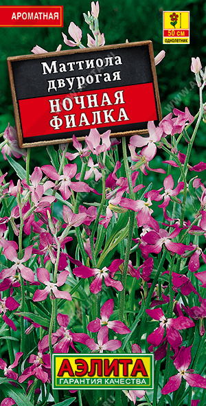 Маттиола Ночная фиалка - фото Маттиола Ночная фиалка - фото