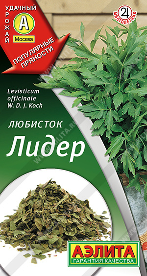 Любисток Лидер - фото Любисток Лидер - фото