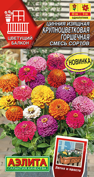 Цинния Крупноцветковая горшечная, смесь сортов - фото Цинния Крупноцветковая горшечная, смесь сортов - фото