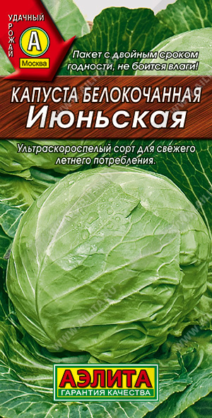 Капуста б/к Июньская - фото Капуста б/к Июньская - фото