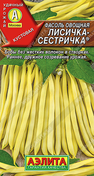Фасоль овощная Лисичка-сестричка - фото Фасоль овощная Лисичка-сестричка - фото