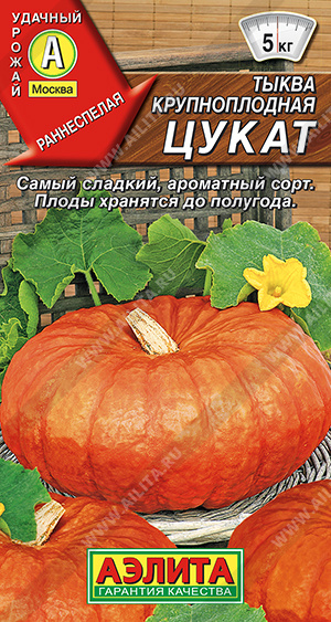 Тыква крупноплодная Цукат - фото Тыква крупноплодная Цукат - фото