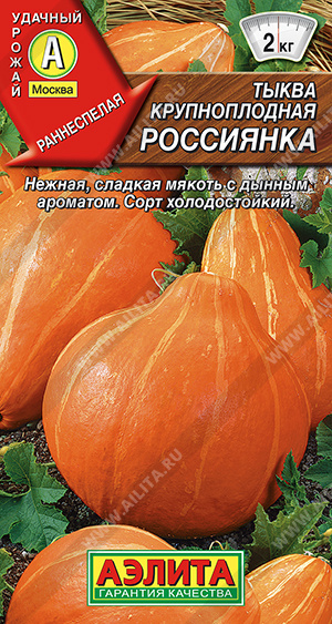 Тыква крупноплодная Россиянка - фото Тыква крупноплодная Россиянка - фото