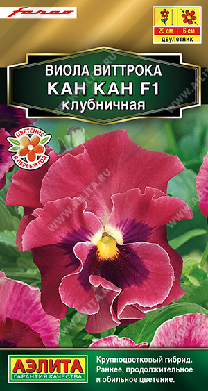 Виола Кан Кан F1 клубничная - фото Виола Кан Кан F1 клубничная - фото