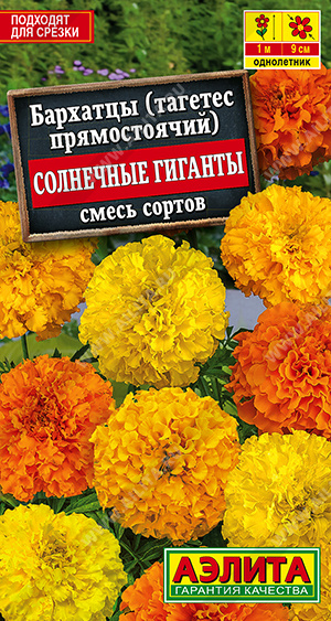 Бархатцы Солнечные гиганты прямостоячие, смесь сортов - фото Бархатцы Солнечные гиганты прямостоячие, смесь сортов - фото