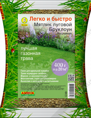 Мятлик луговой Бруклоун - фото Мятлик луговой Бруклоун - фото