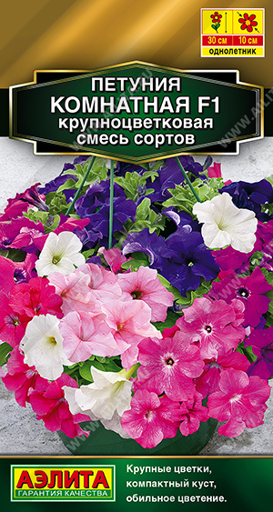 Петуния Комнатная F1 крупноцветковая, смесь сортов - фото Петуния Комнатная F1 крупноцветковая, смесь сортов - фото