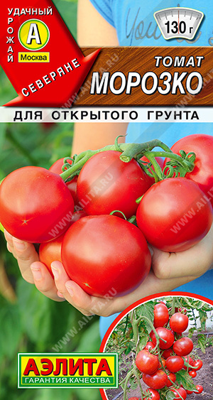 Томат Морозко - фото Томат Морозко - фото