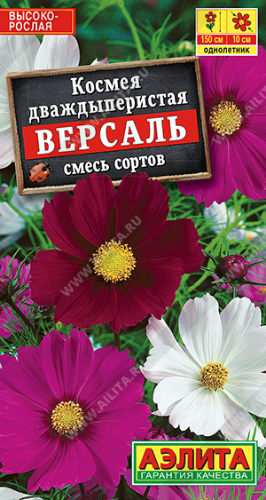 Космея Версаль, смесь сортов - фото Космея Версаль, смесь сортов - фото