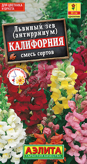 Львиный зев Калифорния, смесь сортов - фото Львиный зев Калифорния, смесь сортов - фото