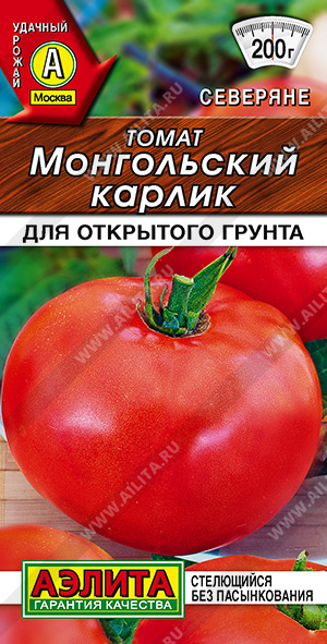 Томат Монгольский карлик - фото Томат Монгольский карлик - фото