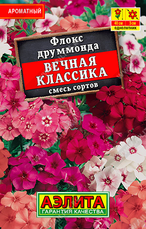 Флокс Вечная классика, смесь сортов - фото Флокс Вечная классика, смесь сортов - фото