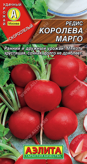 Редис Королева Марго - фото Редис Королева Марго - фото