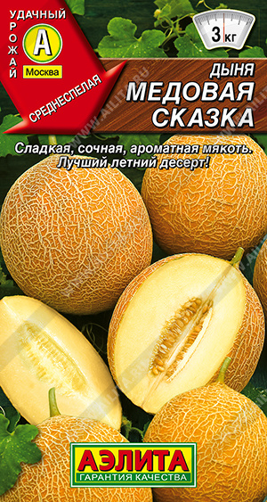 Дыня Медовая сказка - фото Дыня Медовая сказка - фото