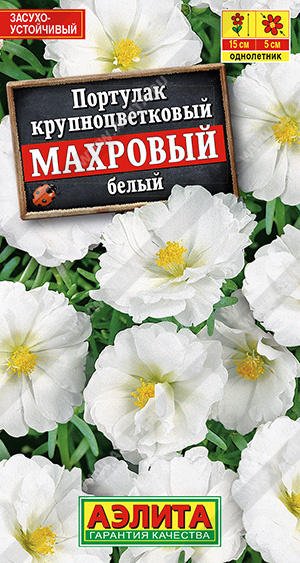 Портулак махровый белый - фото Портулак махровый белый - фото