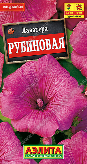 Лаватера Рубиновая - фото Лаватера Рубиновая - фото
