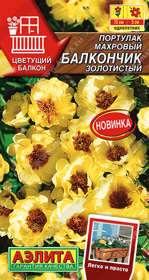 Портулак махровый Балкончик золотистый - фото Портулак махровый Балкончик золотистый - фото