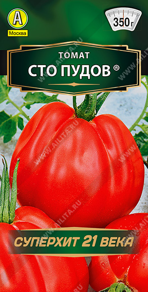Томат Сто пудов - фото Томат Сто пудов - фото