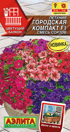 Петуния Городская компакт F1, смесь сортов - фото Петуния Городская компакт F1, смесь сортов - фото