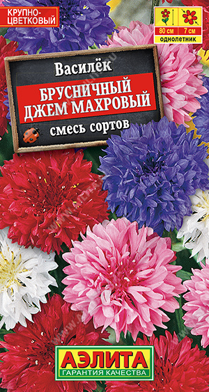 Василек Брусничный джем махровый, смесь сортов - фото Василек Брусничный джем махровый, смесь сортов - фото