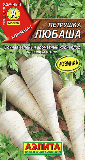 Петрушка корневая Любаша - фото Петрушка корневая Любаша - фото