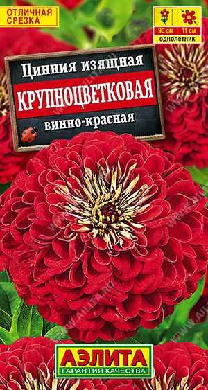 Цинния Крупноцветковая винно-красная - фото Цинния Крупноцветковая винно-красная - фото