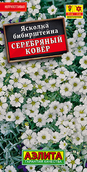 Ясколка Серебряный ковер - фото Ясколка Серебряный ковер - фото