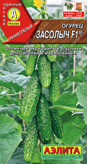 Огурец Засолыч F1 ® - фото Огурец Засолыч F1 ® - фото