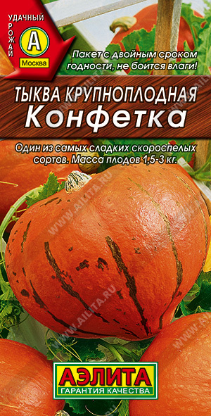 Тыква крупноплодная Конфетка - фото Тыква крупноплодная Конфетка - фото