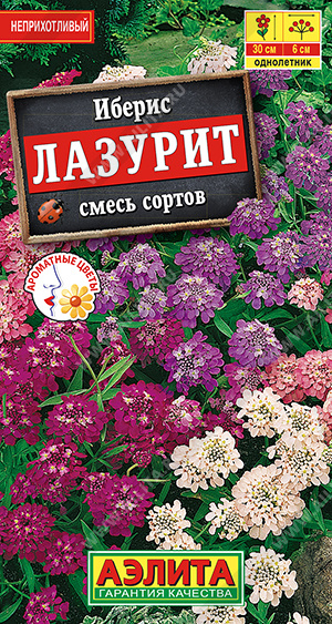 Иберис Лазурит, смесь сортов - фото Иберис Лазурит, смесь сортов - фото