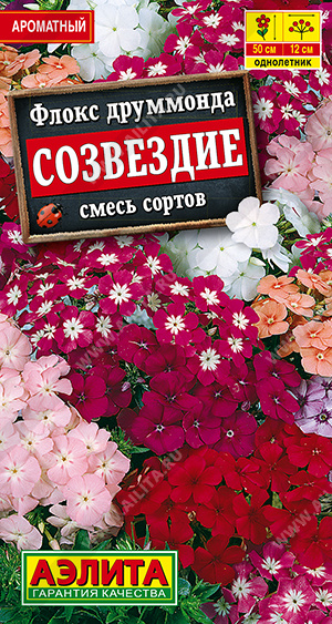 Флокс друммонда Созвездие, смесь сортов - фото Флокс друммонда Созвездие, смесь сортов - фото