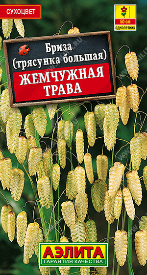 Бриза Жемчужная трава - фото Бриза Жемчужная трава - фото